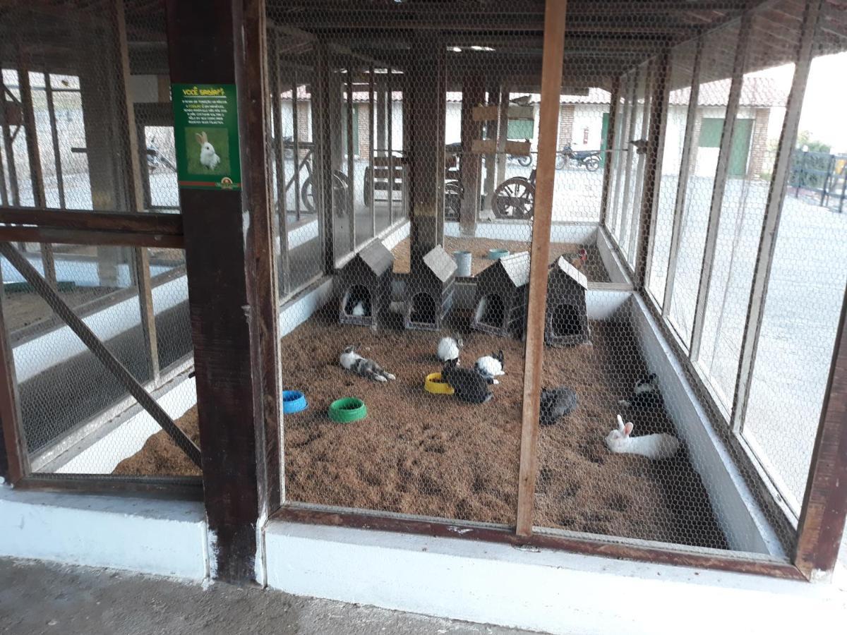 Aparthotel Flat Monte Castelo Gravata Modulo 17 Zewnętrze zdjęcie